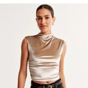 Abercrombie Velvet Paloma Top